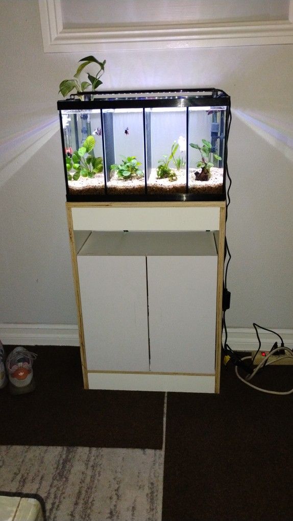 10 Gallon Bettas Fish Tank, Canister Filter, Brand New Light , New Custom Cabinet , Fish Not Included $265 Obo