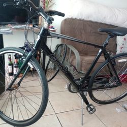 Giant Road Bike $140 OBO 