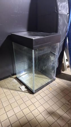 Fish tank 10 Gallon