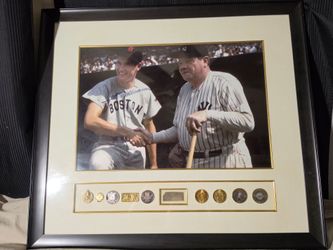 Babe  Ruth & Ted Williams