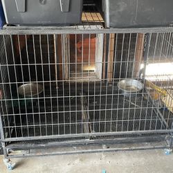 Dog Crate 