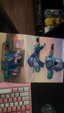 Baja beach fest Saturday and Sunday 2 day general admission