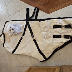 Canvas Winter Horse Blanket