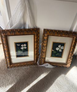 Set of portraits
