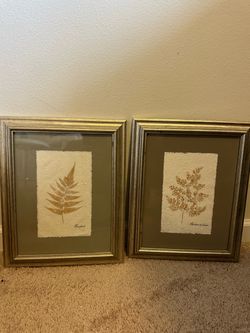 Decorative Fern Prints