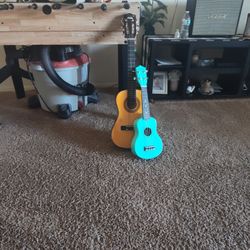 Guitar 