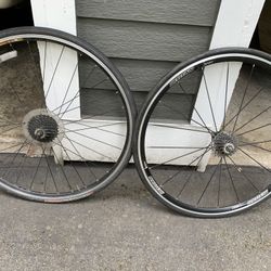 Road Bike Mheels. Titan Forte And Mavic CXP 22