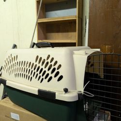 Hard Cover Pet Carrier
