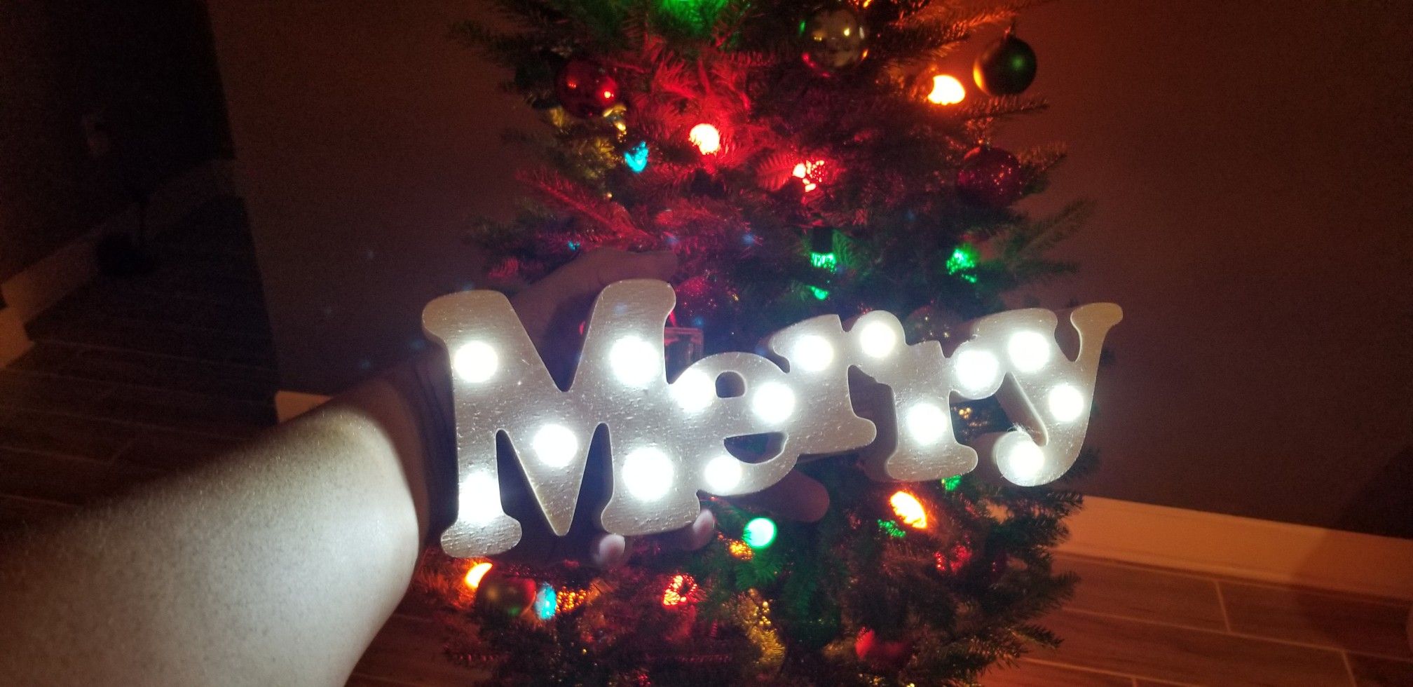 Christmas Light - "Merry" - New