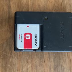Sony Battery Charger NP-BG1