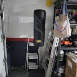 Everlast Punching Bag