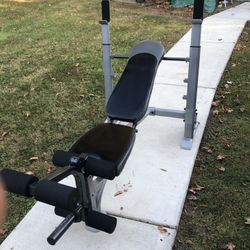 Olympic Heavy Duty Bench 2 in Cushion 