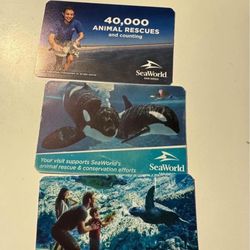Seaworld Tickets 