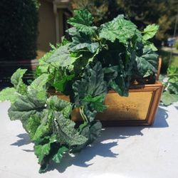 FAUX  PLANT / PLANTER