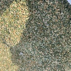 animal feed split peas 2000lb tote