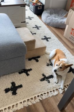 Adeewa Shaggy Performance Beige & Black Tasseled Area Rug