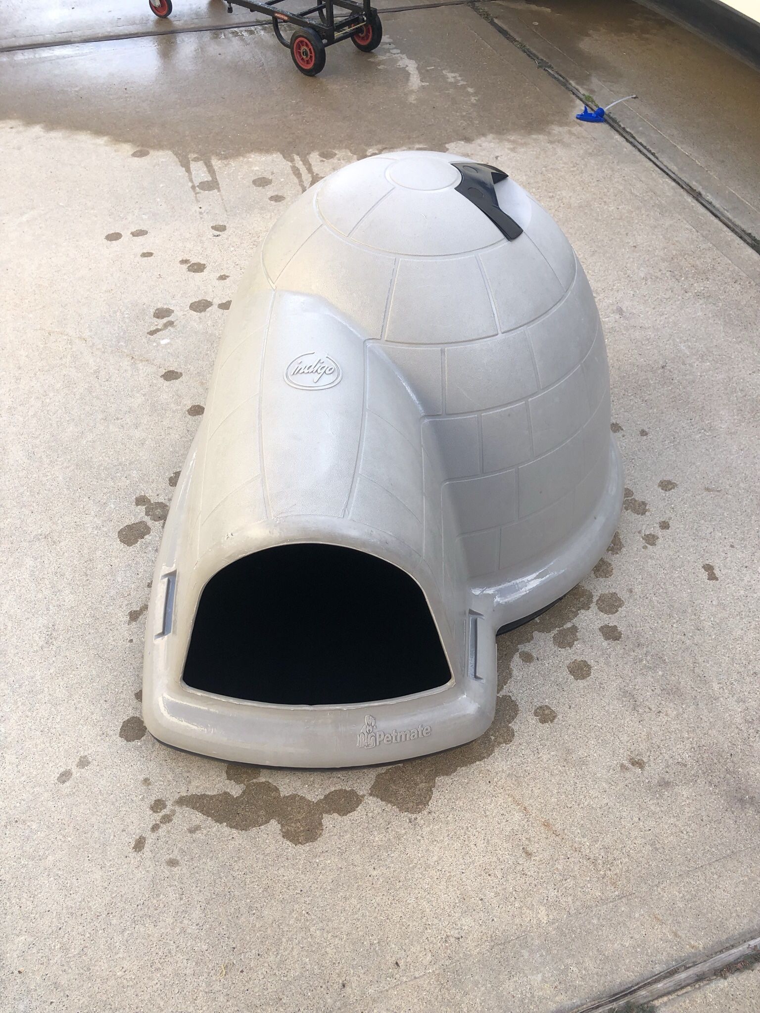 Petmate Indigo igloo dog house Medium for Sale in Richmond TX