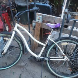 Old girls husky beach criuser