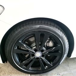 plasti dip