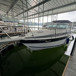 1989 Four winns 285 vista