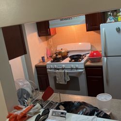 1 Bed Room Apartment 