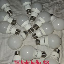 Light Bulbs And Input Wall Outlet