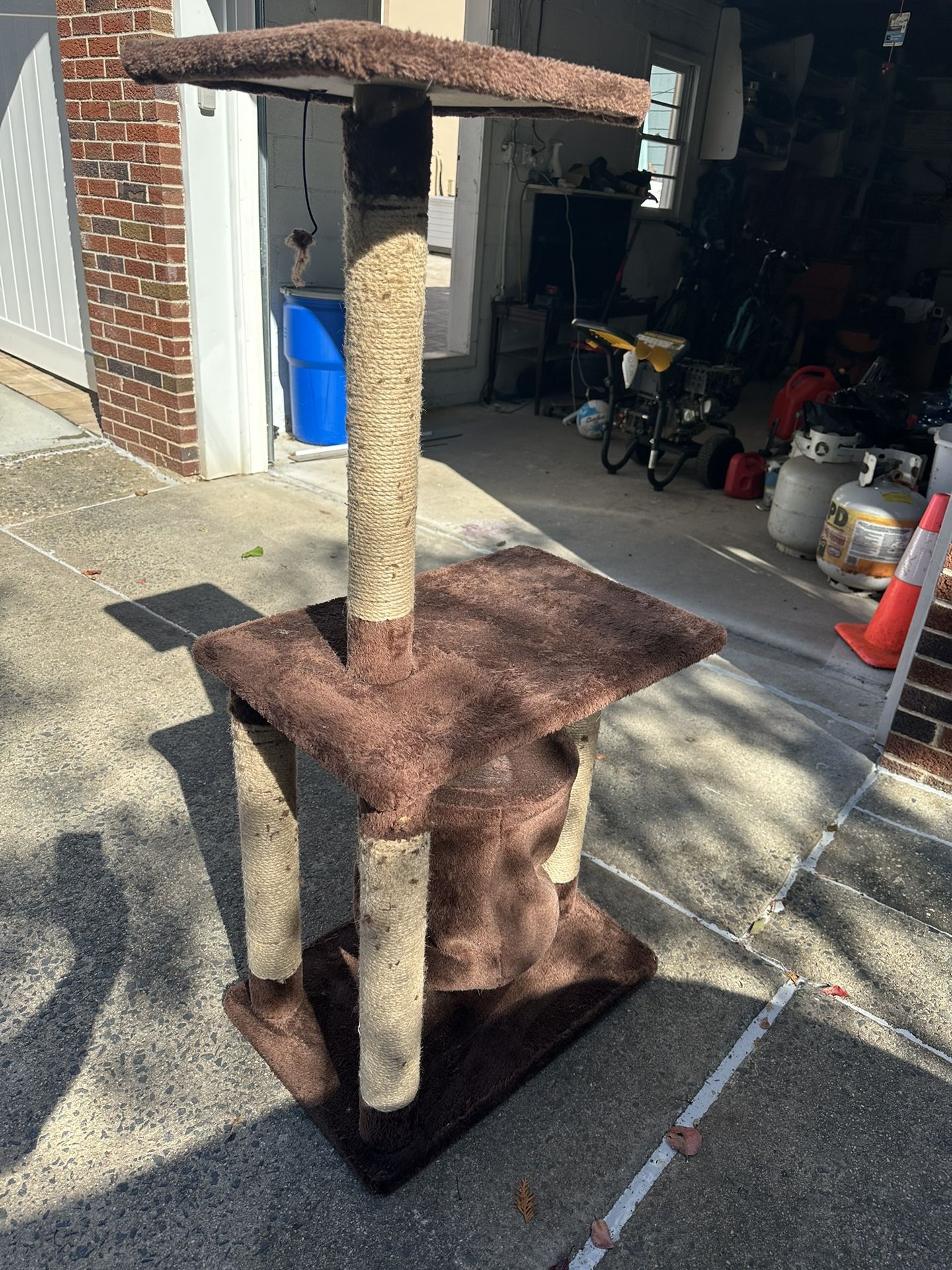 Cat Scratching House