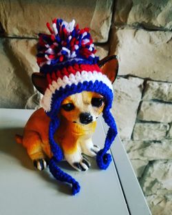 Dog beanie