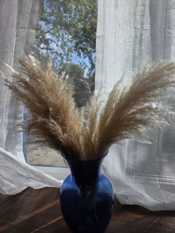 Pampas Grass in decotative vases -set of 4