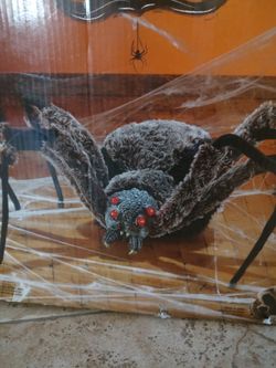 Halloween giant 4.5 feet spider $25.00 see my other offers must pick up cash only no holds