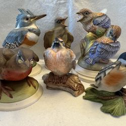 Collection Of 6 Boehm Birds