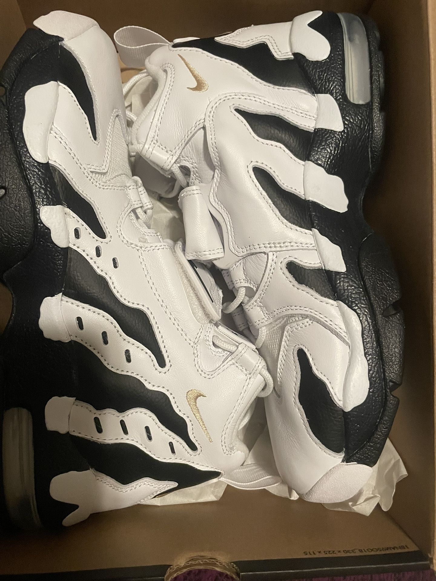 Dt Max 96