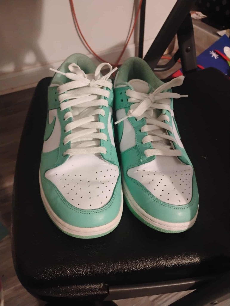 Nike Dunk Size 9.5