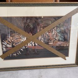 Tiger Picture