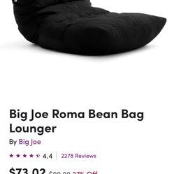 Upright Bean Bag Chair 