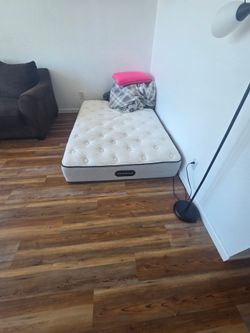 2 Queen mattresses and 1 box spring.