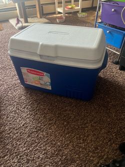 34 pt cooler