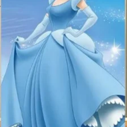 Cinderella arch cover