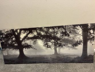 photo frame
