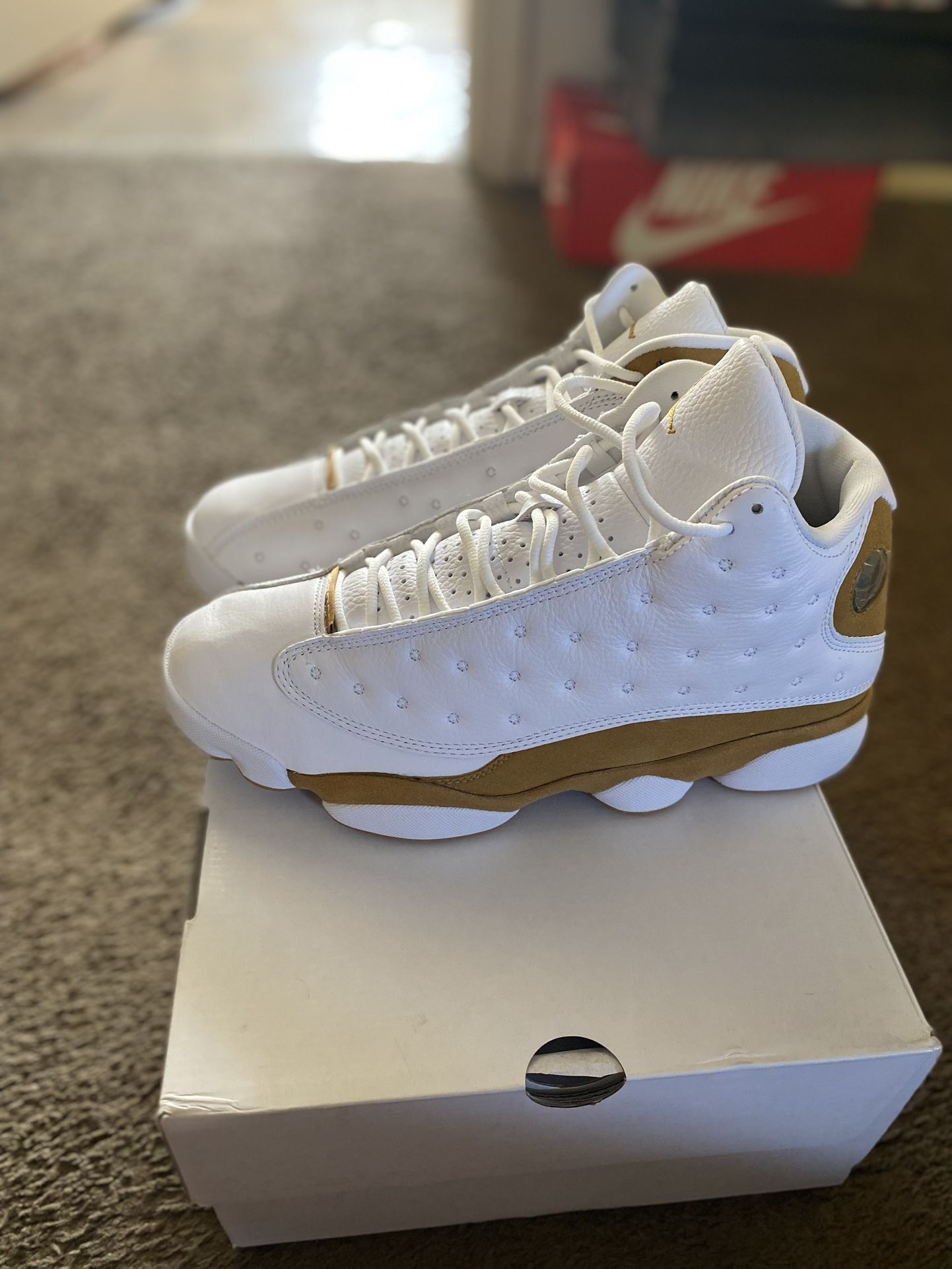 Brand New Jordan 13