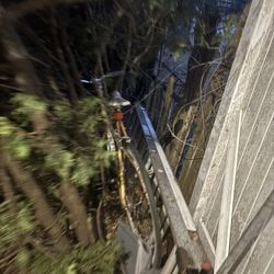 Mongoose Bikes Mountain And Box Bike Bmx