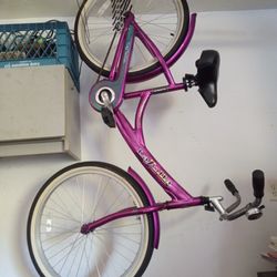  Bicycle and Treadmill
