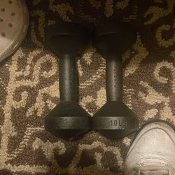 Two 10 Pound Weights 
