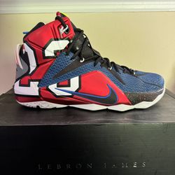 LeBron 12 What The Size 11