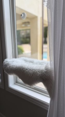 Cat Window Floating Bed 
