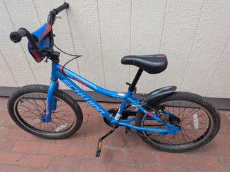 Kids Bike 20"-Schwinn