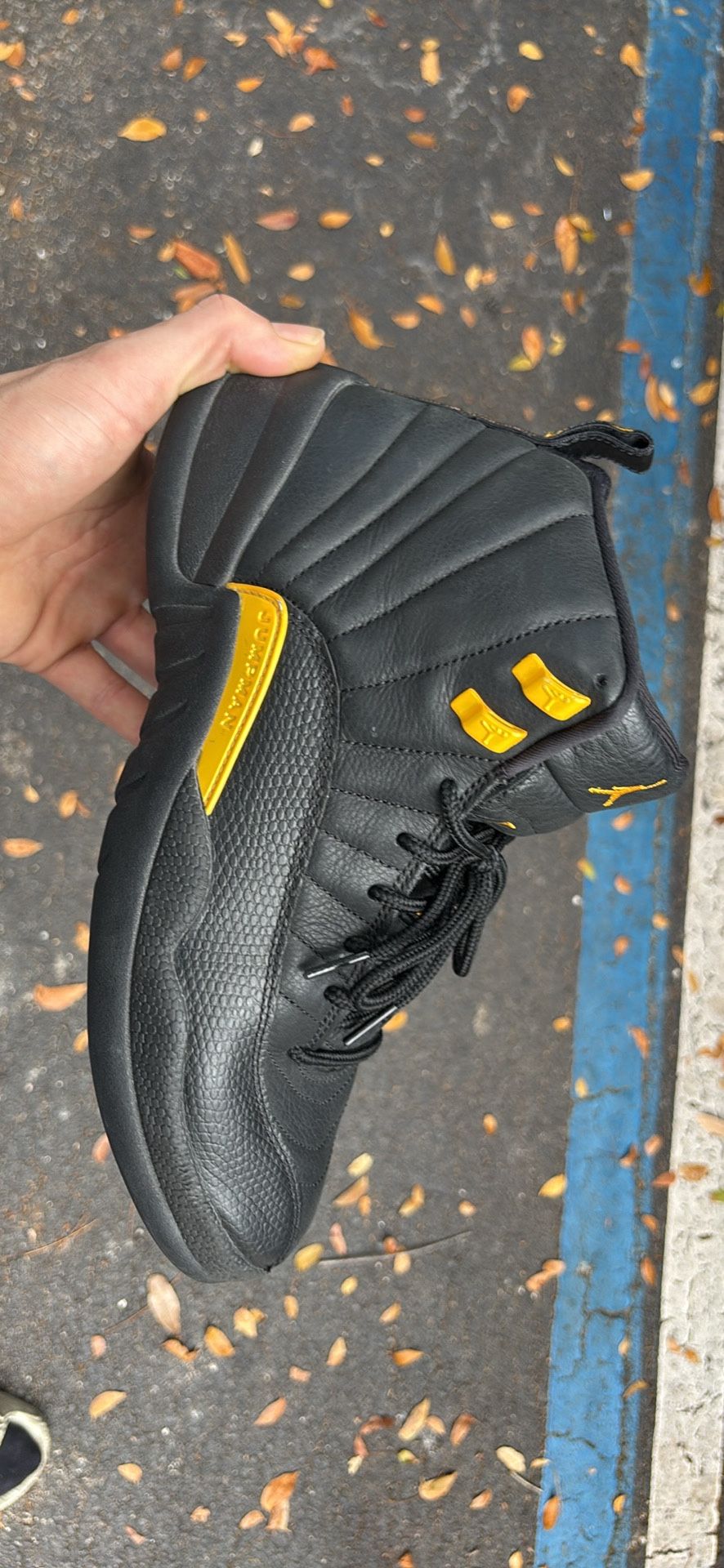 Jordan 12 ‘s