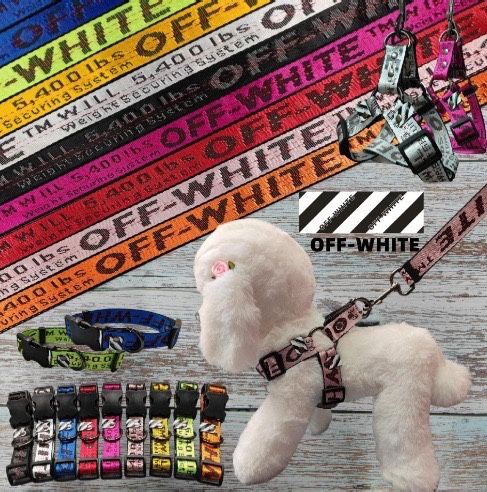 Dog Collar And Leash 2 Versions