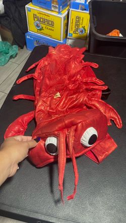 Dog lobster costume