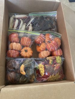 Harvest/ thanksgiving/ fall decorations